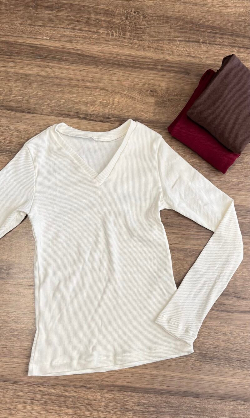 Blusa gola V